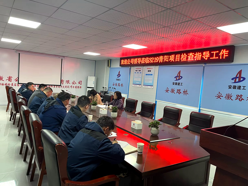公司黨委委員、紀(jì)委書(shū)記王鵬到S219青陽(yáng)改建項(xiàng)目調(diào)研指導(dǎo)工作